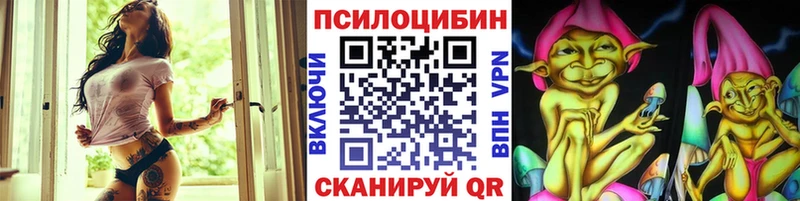 ОМГ ОМГ зеркало Мосальск Псилоцибиновые грибы Cubensis